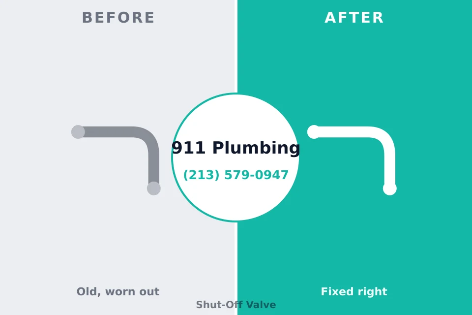 Before and after: plumbing repair Center Hill, FL